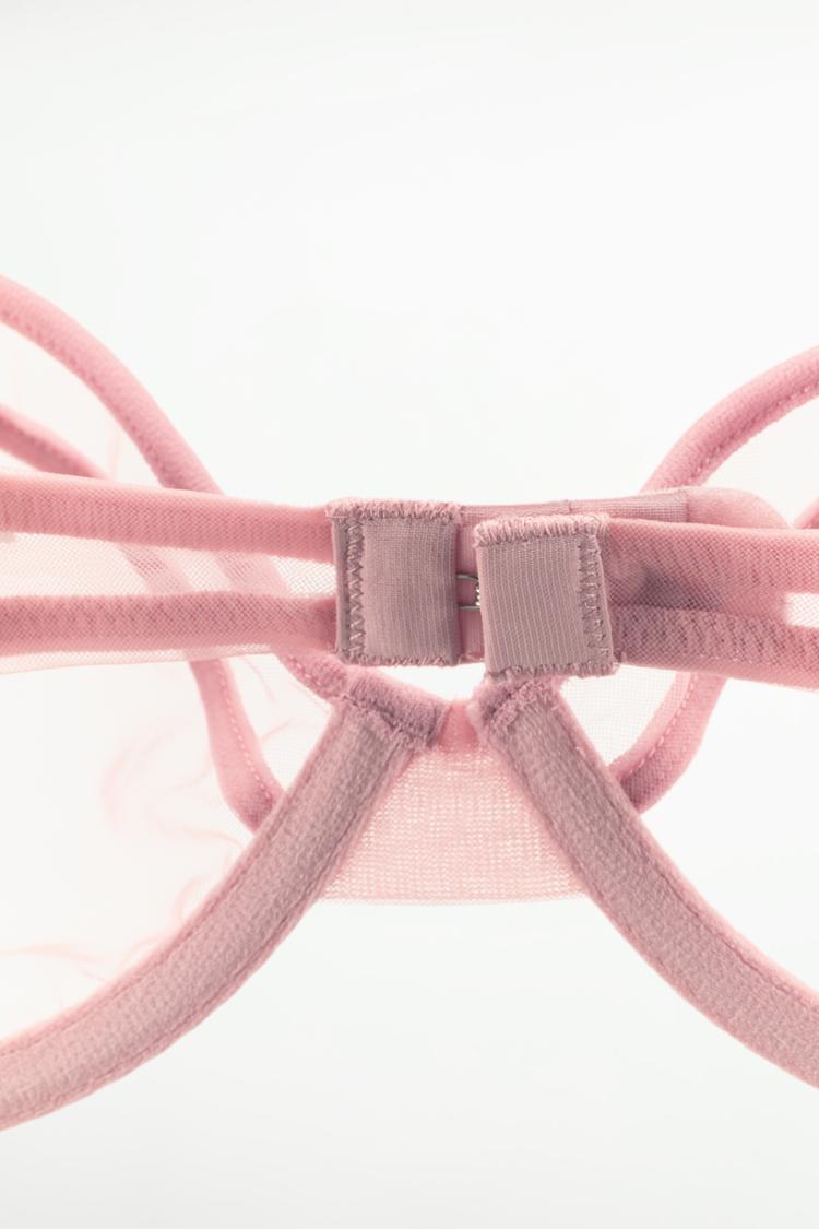 Semi-Transparent Bras with Rings